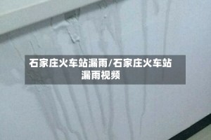 石家庄火车站漏雨/石家庄火车站漏雨视频