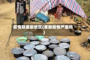 疫情期果敢地区(果敢疫情严重吗)