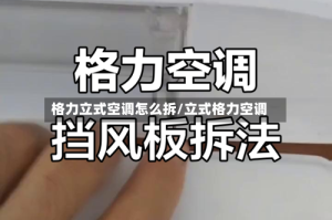 格力立式空调怎么拆/立式格力空调