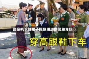 贱妾扒下脱裙子撅屁股迎的简单介绍
