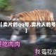 【卖片的qq号,卖片人的号】