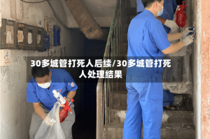 30多城管打死人后续/30多城管打死人处理结果