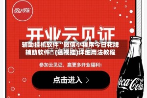 辅助挂机软件“微信小程序今日花牌辅助软件”(透视挂)详细用法教程
