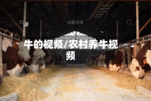 牛的视频/农村养牛视频