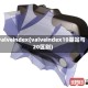 valveindex(valveindex10基站与20区别)