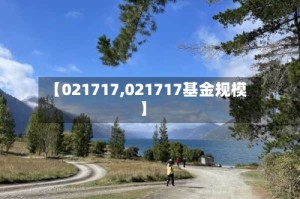 【021717,021717基金规模】