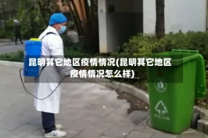 昆明其它地区疫情情况(昆明其它地区疫情情况怎么样)