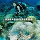 深海寻人剧情/深海寻人 剧情