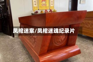 凤棺迷案/凤棺迷魂纪录片