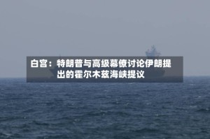 白宫：特朗普与高级幕僚讨论伊朗提出的霍尔木兹海峡提议