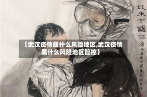【武汉疫情属什么风险地区,武汉疫情属什么风险地区管控】