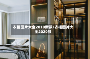 衣柜图片大全2018新款/衣柜图片大全2020款