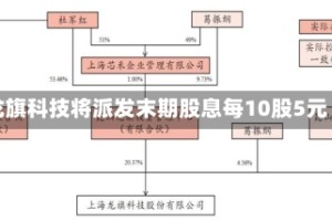龙旗科技将派发末期股息每10股5元