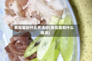 黄花菜和什么煮汤好(黄花菜和什么烧汤)