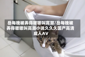 岳每晚被弄得嗷嗷叫高潮/岳每晚被弄得嗷嗷叫高潮小说久久久国产高清成人AV