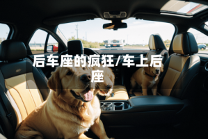 后车座的疯狂/车上后座