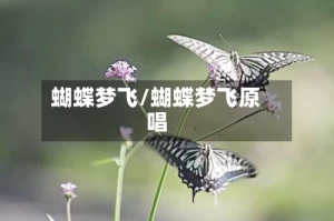 蝴蝶梦飞/蝴蝶梦飞原唱
