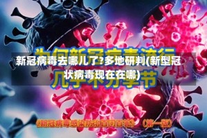 新冠病毒去哪儿了?多地研判(新型冠状病毒现在在哪)