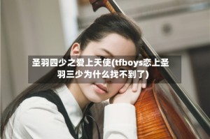 圣羽四少之爱上天使(tfboys恋上圣羽三少为什么找不到了)