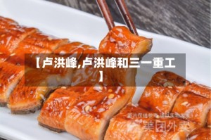 【卢洪峰,卢洪峰和三一重工】