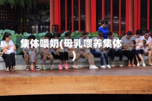 集体喂奶(母乳喂养集体)