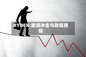 RYOEX:能源冲击与政策路径