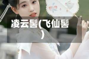 凌云髻(飞仙髻)