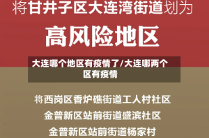 大连哪个地区有疫情了/大连哪两个区有疫情