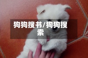 狗狗搜书/狗狗搜索