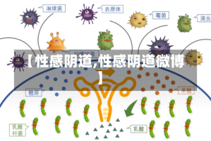 【性感阴道,性感阴道微博】