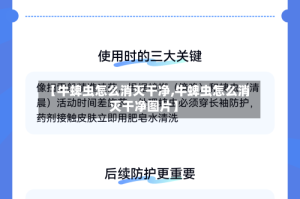 【牛蜱虫怎么消灭干净,牛蜱虫怎么消灭干净图片】