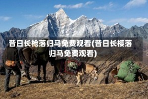昔日长枪落归马免费观看(昔日长樱落归马免费观看)