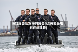 海豹突击队2(海豹突击队2黄岩岛电影在线观看)
