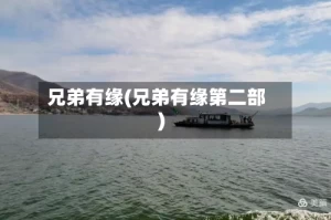 兄弟有缘(兄弟有缘第二部)