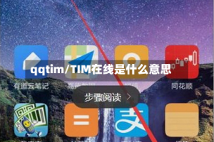 qqtim/TIM在线是什么意思
