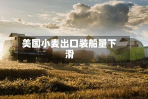 美国小麦出口装船量下滑