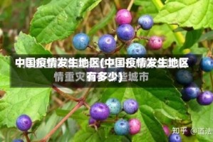 中国疫情发生地区(中国疫情发生地区有多少)