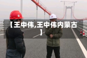 【王中伟,王中伟内蒙古】