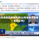 山东各地区疫情风险(山东省各市疫情最新公布)