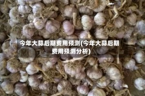 今年大蒜后期费用预测(今年大蒜后期费用预测分析)