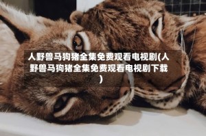 人野兽马狗猪全集免费观看电视剧(人野兽马狗猪全集免费观看电视剧下载)