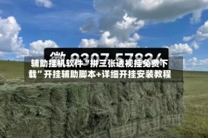 辅助挂机软件“拼三张透视挂免费下载”开挂辅助脚本+详细开挂安装教程