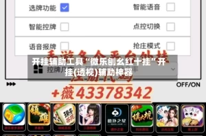 开挂辅助工具“微乐刨幺红十挂”开挂(透视)辅助神器