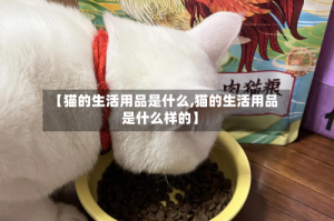 【猫的生活用品是什么,猫的生活用品是什么样的】
