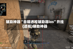 辅助神器“自瞄透视辅助器ios”开挂(透视)辅助神器