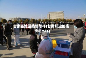 甘肃各地区疫情怎样(甘肃那边的疫情怎么样)