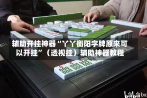 辅助开挂神器“丫丫衡阳字牌原来可以开挂”（透视挂）辅助神器教程