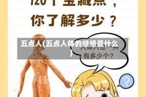五点人(五点人体的经络是什么)