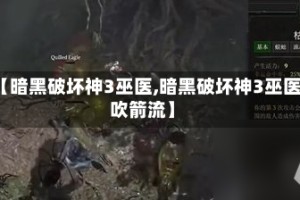 【暗黑破坏神3巫医,暗黑破坏神3巫医吹箭流】
