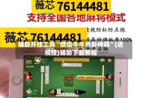 辅助开挂工具“微信牛牛外卦神器”(透视挂)辅助下载教程